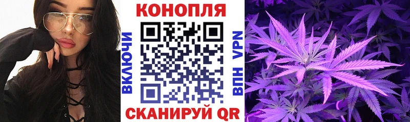 Где продают наркотики Бакал СК  АМФ  Кокаин  Гашиш 